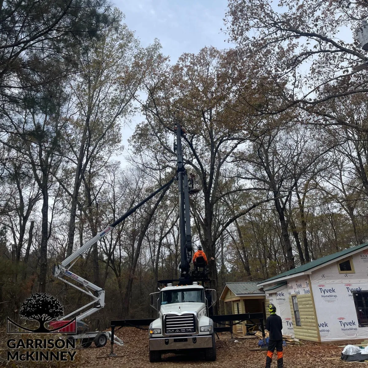 "Garrison McKinney Tree Service showcasing advanced tree removal technology in action. Our robotic crane with a grapple saw ensures precise and efficient tree removal. Serving Tupelo and North Mississippi with expert tree removal and trimming solutions."