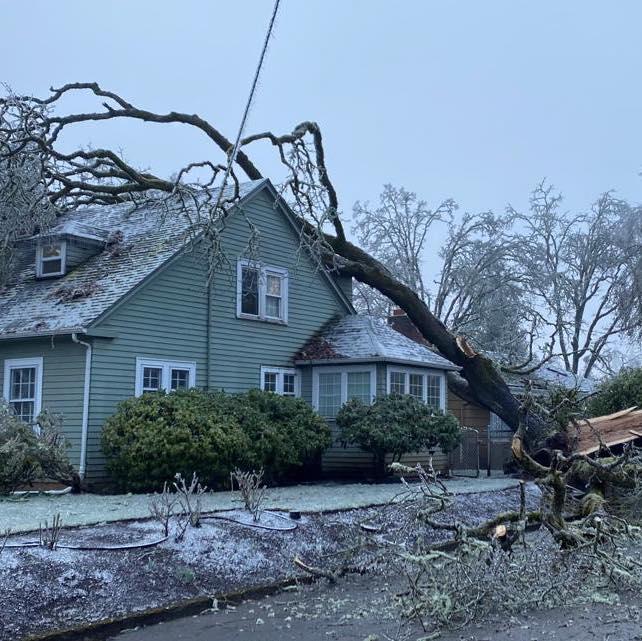"Winter storm aftermath: A fallen tree on a home, a testament to the challenges posed by cold weather and winter winds. Our emergency tree removal service ensures swift and efficient solutions to protect your property. Serving Tupelo and North Mississippi. Emergency relief services available 24/7."