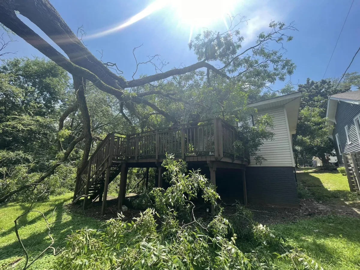 North Mississippi, Tupelo, Gulf Coast, Midsouth's #1 emergency relief and storm responder. Garrison McKinney Tree Services utilizing advanced technology: a robotic crane safely removing a tree from a roof. Our expert team ensures precision and efficiency in emergency tree removal, minimizing further damage to structures. Swift and innovative solutions for challenging situations, providing reliable storm response and tree care services.