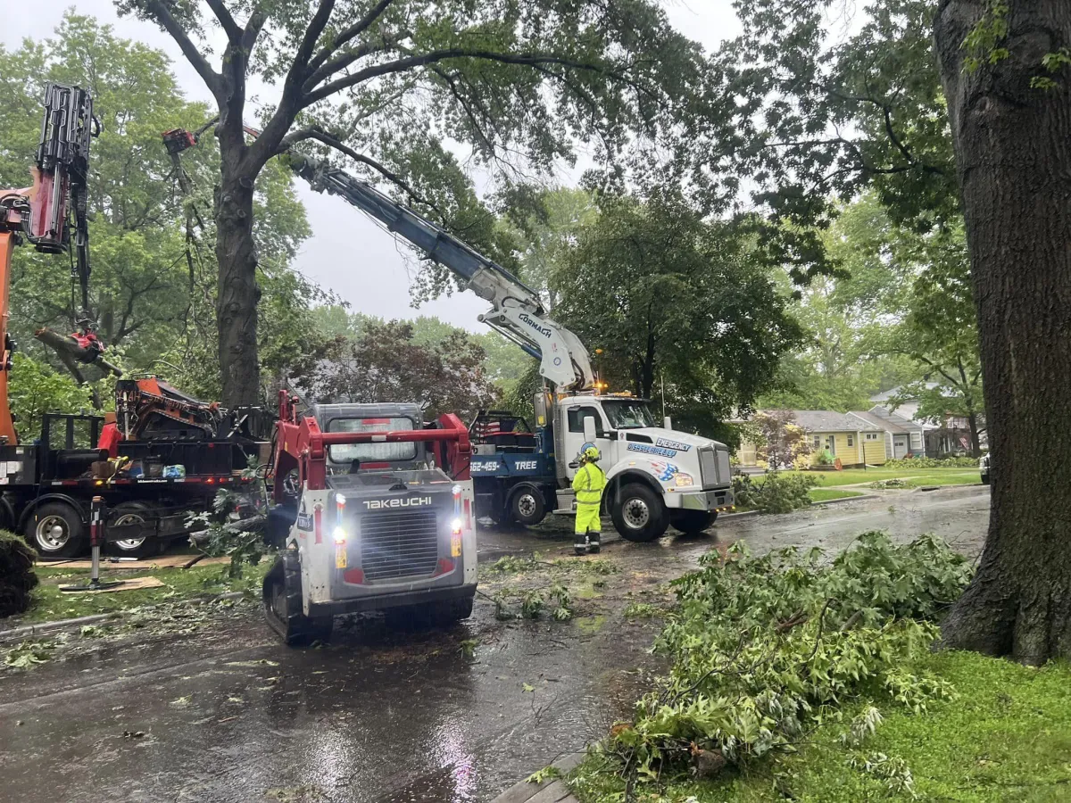 Tupelo's #1 professional tree service, Garrison McKinney. An image of our robotic crane removing a tree during stormy weather.