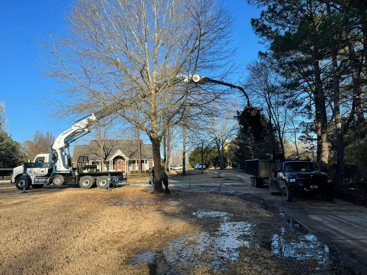 Cutting-Edge Robotic Crane Tree Removals by Garrison McKinney Tree Service – Precision and Safety Redefined. Our fully licensed and insured team boasts certified operators, ensuring expert care in every removal. Experience the pinnacle of tree removal technology with the peace of mind that comes from our commitment to excellence and safety.