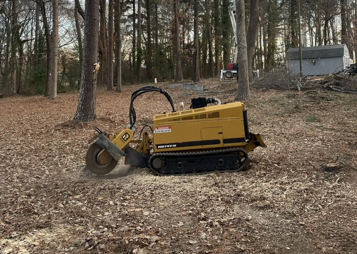 Comprehensive Tree Care Services by Garrison McKinney Tree Service – Specializing in Expert Stump Grinding. Proudly serving Lee, Itawamba, Monroe, Prentiss, Pontotoc, Chickasaw, Union, and Tishomingo counties. Trust our top-rated tree team for professional tree care across North Mississippi. Call today for competitive rates!