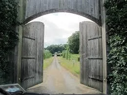 Ornamental electronic driveway gate