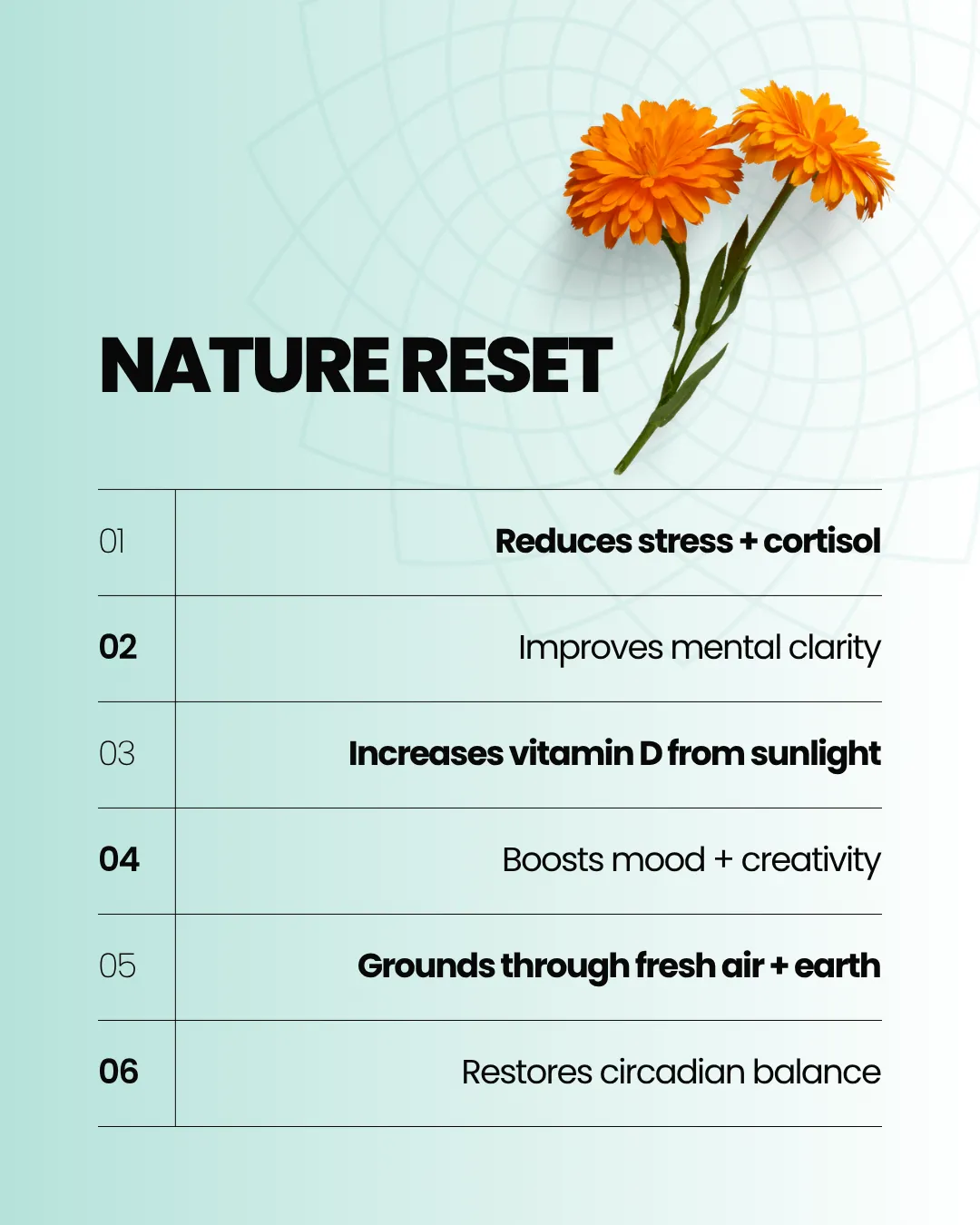 Nature Reset: Boost Health with Simple Steps