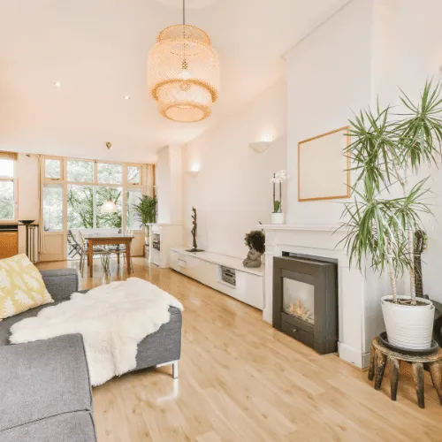 Regular Cleaning in San Diego