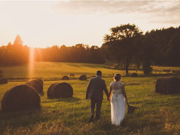 Wedding couple walking together through a field at sunset
