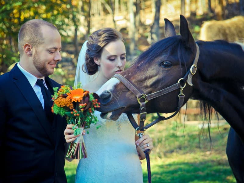 Bride and groom with a horse during a wedding photo session at The Off Grid Ark in Western Quebec, near Ottawa–Gatineau.