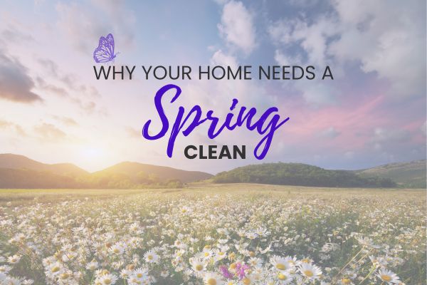 Why Your Home Needs a Spring Clean