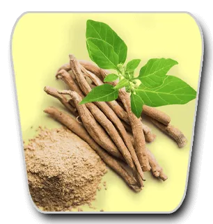 VidaCalm Ingredients Ashwagandha