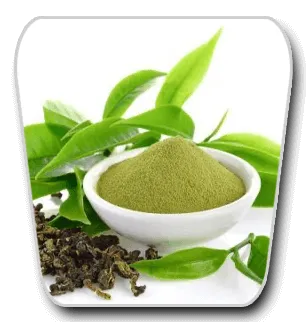 VidaCalm Ingredients L-theanine