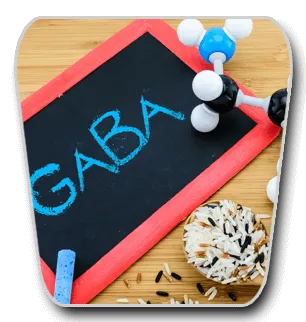 VidaCalm Ingredients GABA