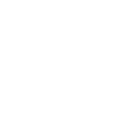 twitter logo