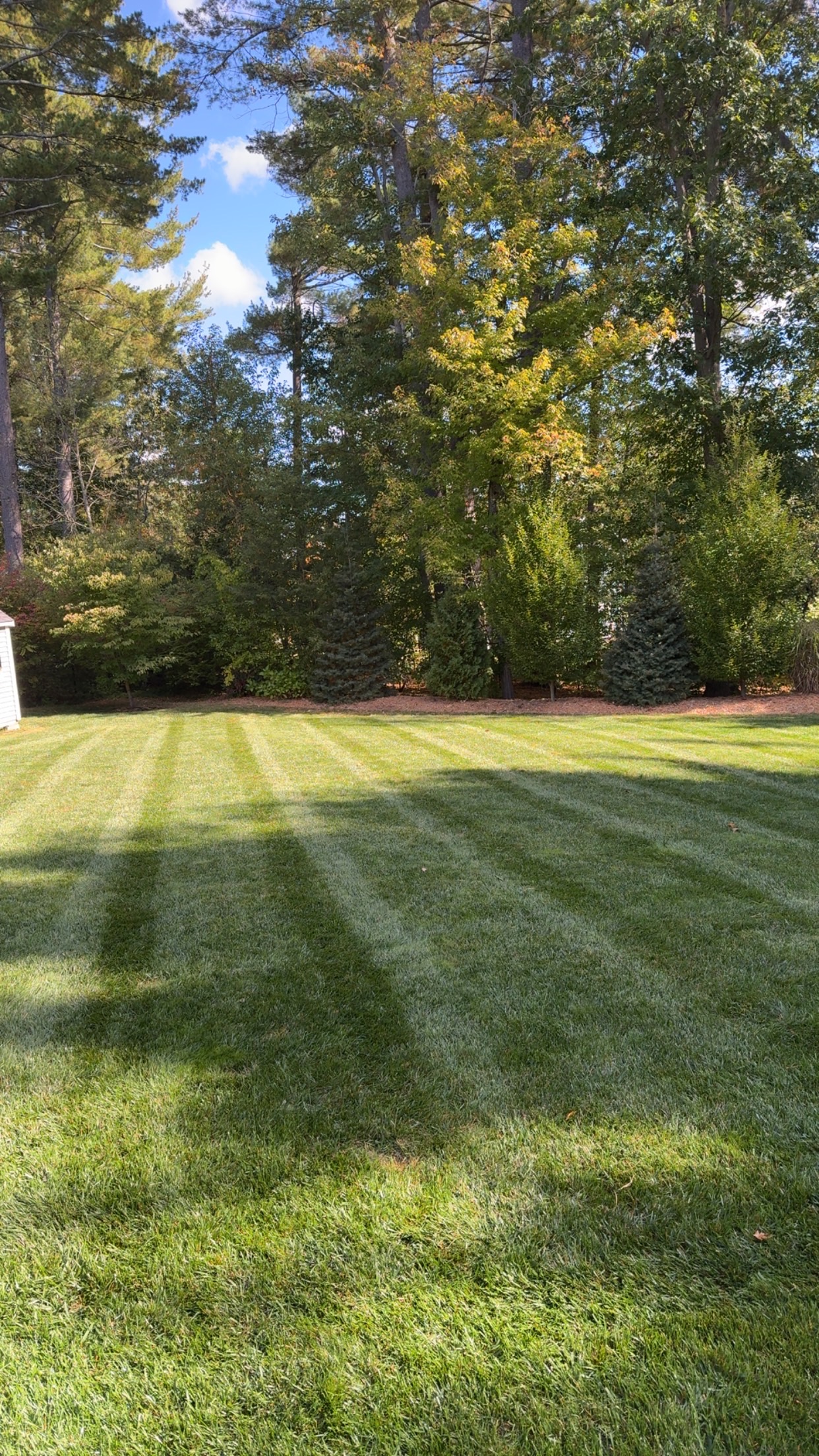 Freshly mowed residential lawn with clean striping and healthy turf by A. Fowkes Landscape & Construction