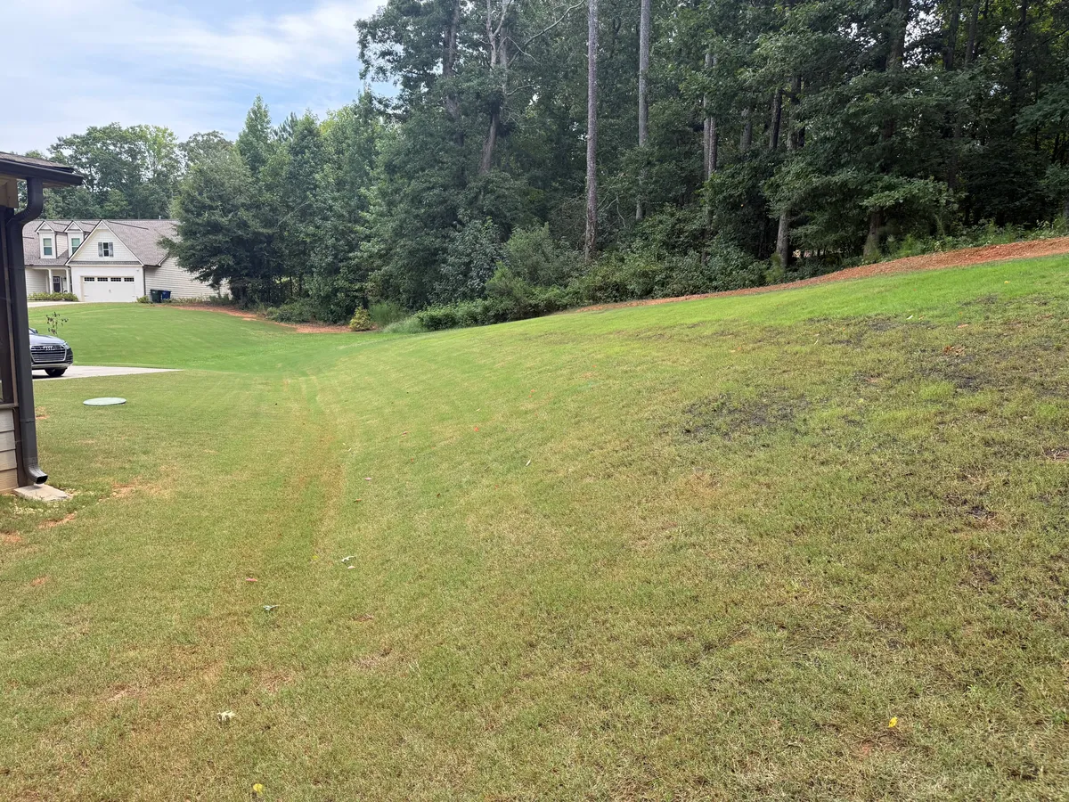 The Back Yard Marketing Plan