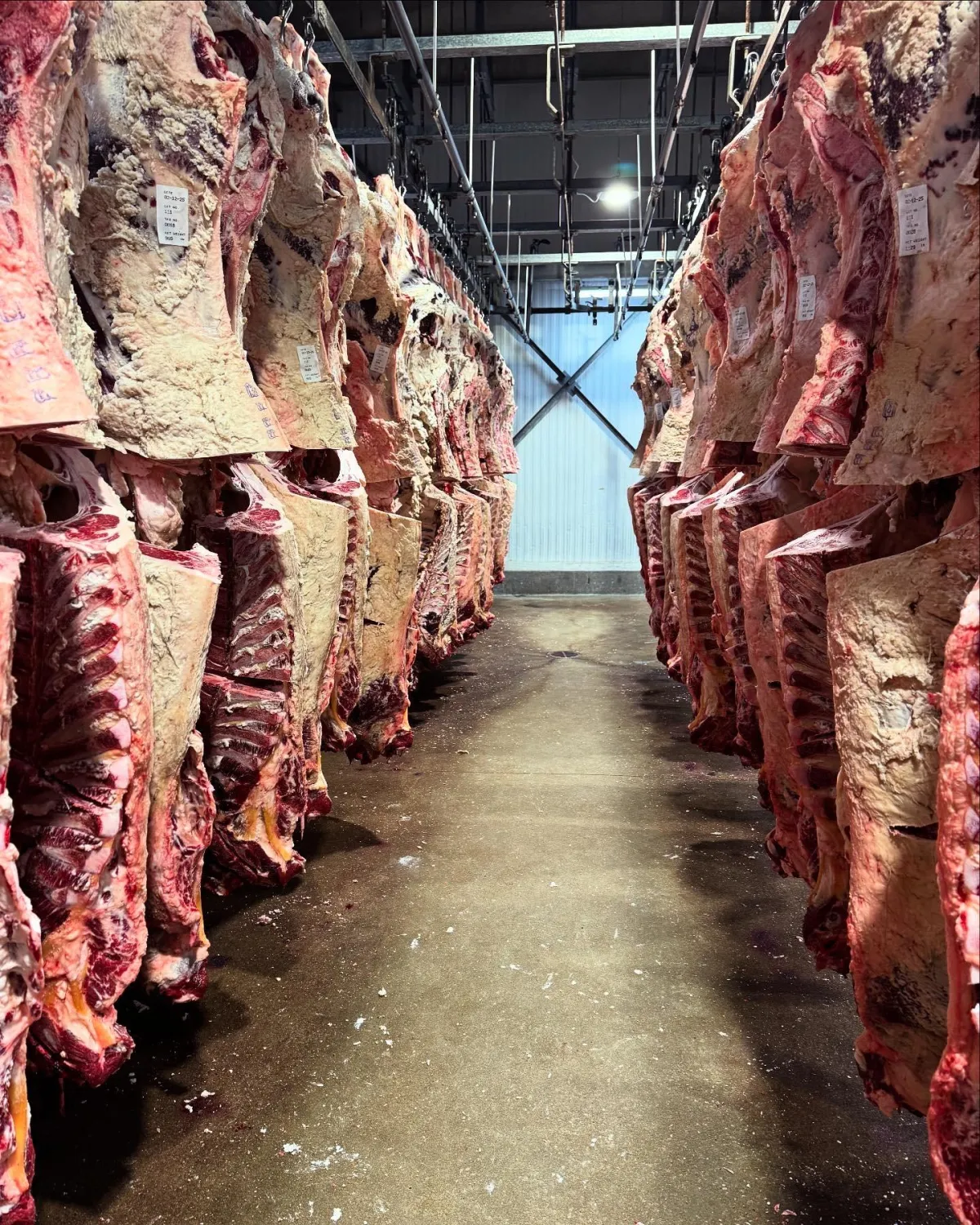 Is Buying a Quarter, Half, or Whole Cow Worth It?