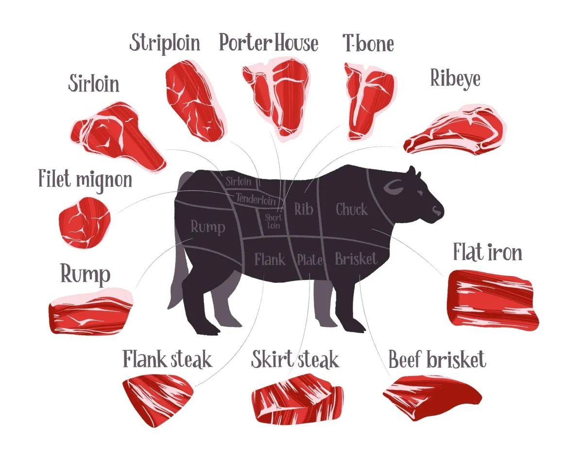 The Complete Guide to Beef Cuts: Every Cut Explained 