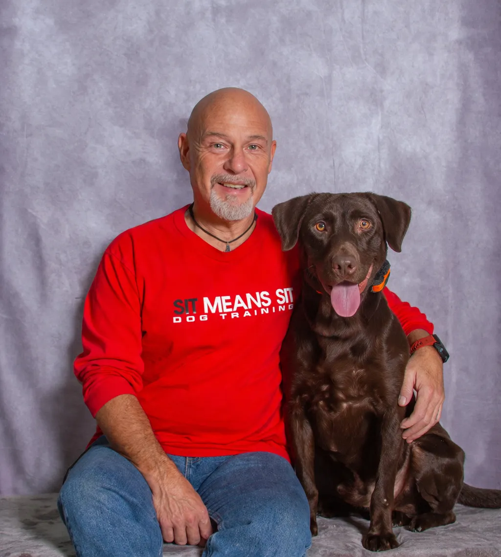 Professional dog training session