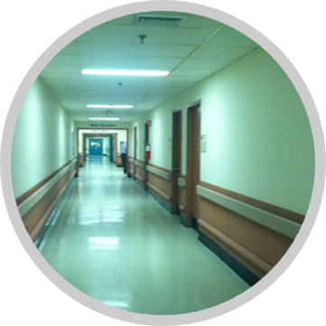 Site Visit mural wall