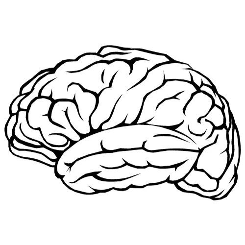 brain graphic