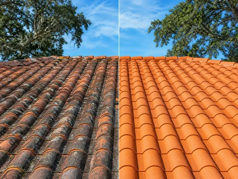Roof Soft Washing in Eustis
