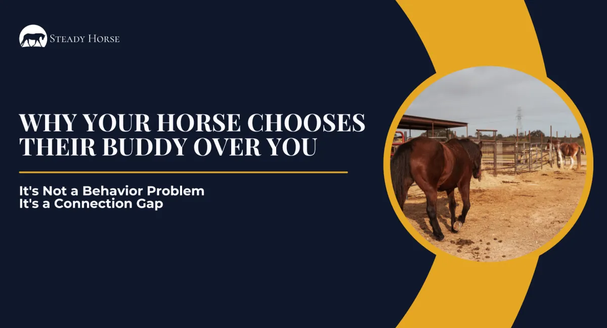 Why Your Horse Chooses Their Buddy Over You