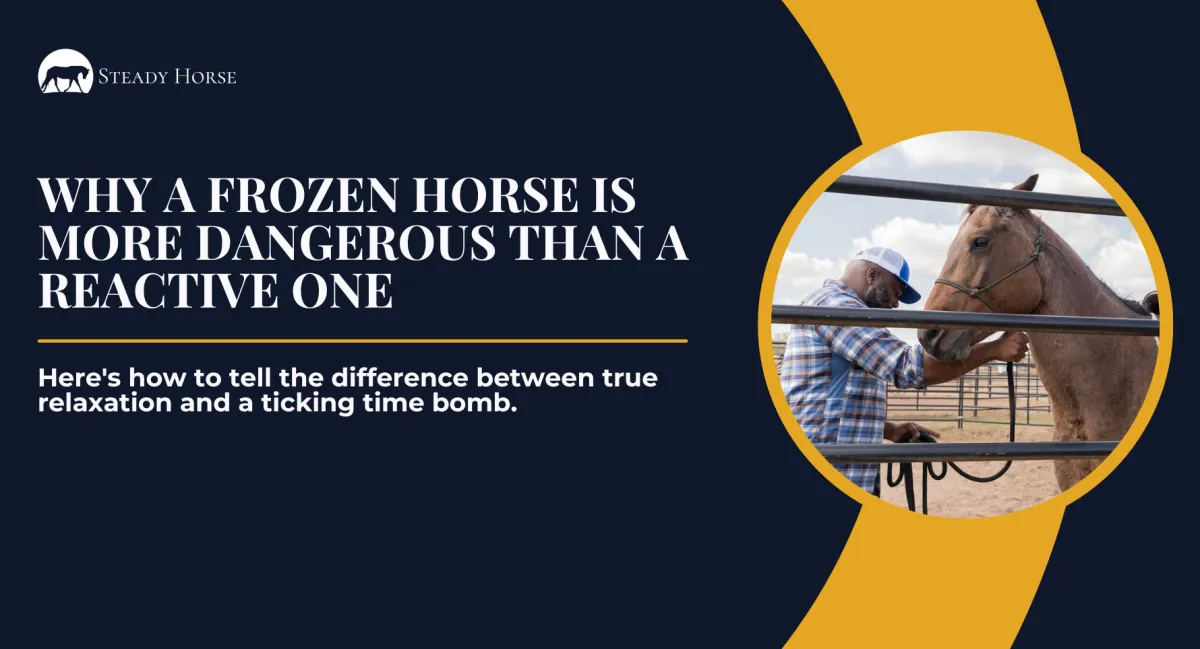 Why a Frozen Horse Is More Dangerous Than a Reactive One