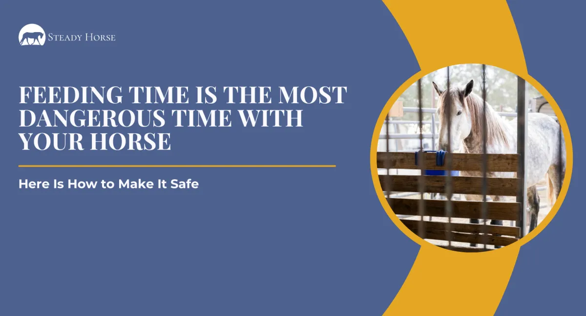 Feeding Time Is the Most Dangerous Time With Your Horse — Here Is How to Make It Safe