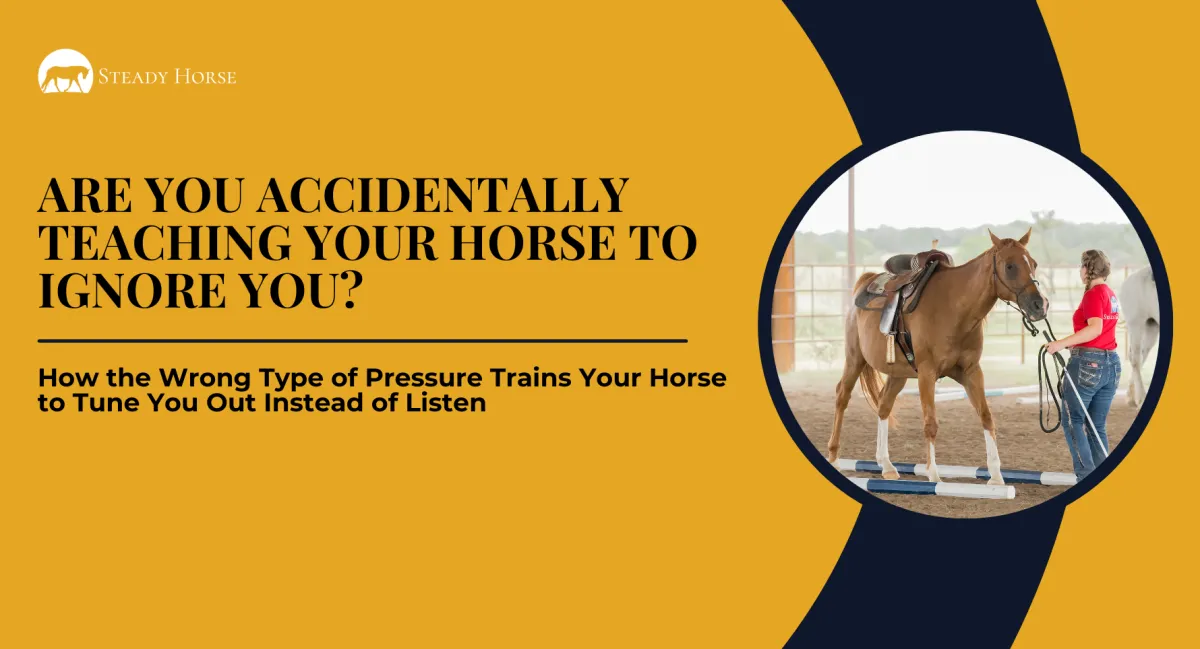 Are You Accidentally Teaching Your Horse to Ignore You?