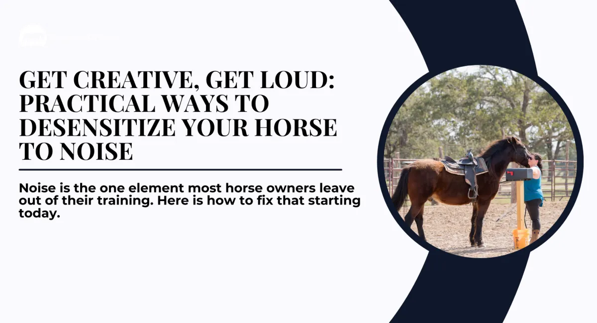 Get Creative, Get Loud: Practical Ways to Desensitize Your Horse to Noise