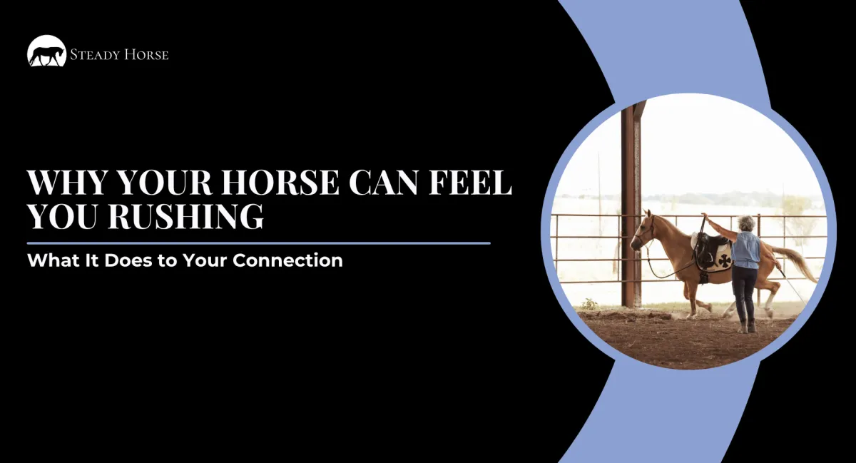 Why Your Horse Can Feel You Rushing