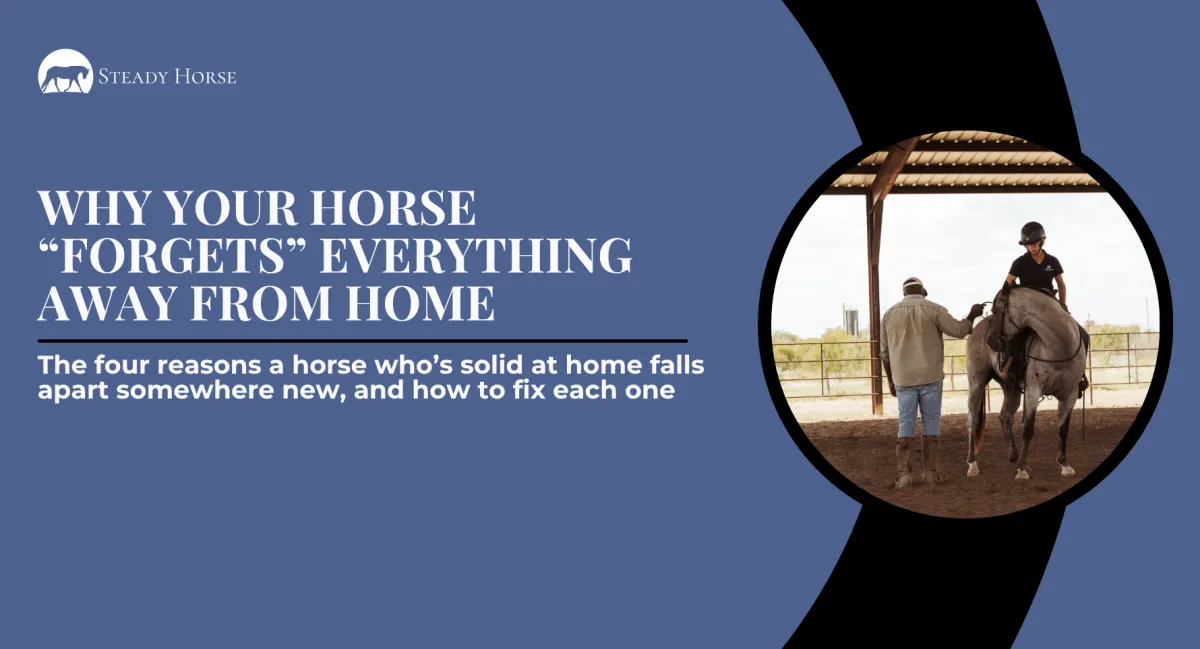 Why Your Horse “Forgets” Everything Away From Home