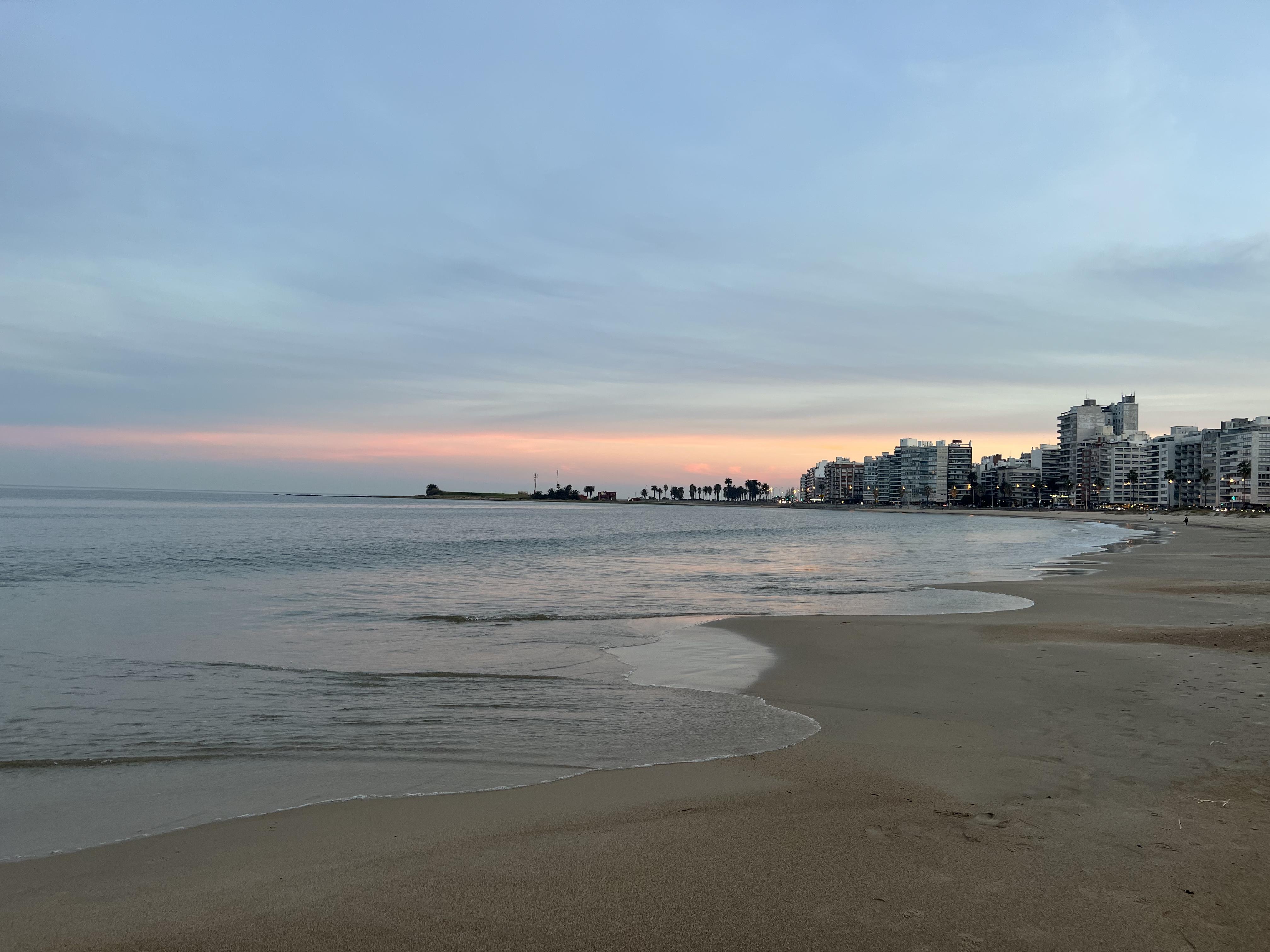 people on beach during sunset