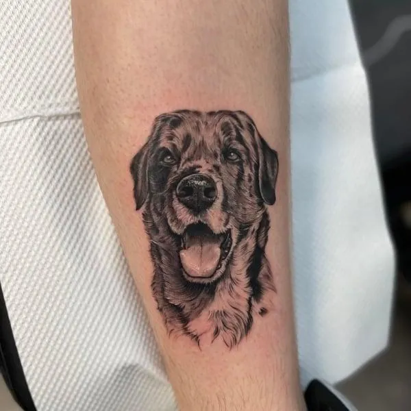 Gedetailleerd dierenportret tattoo in black & grey door Alex