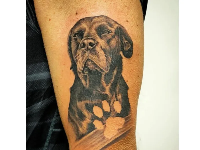 Dieren portrait tattoos  Deventer Iris Tattoo Art