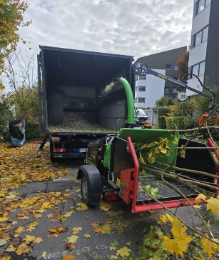 Baumpflege Entsorgung