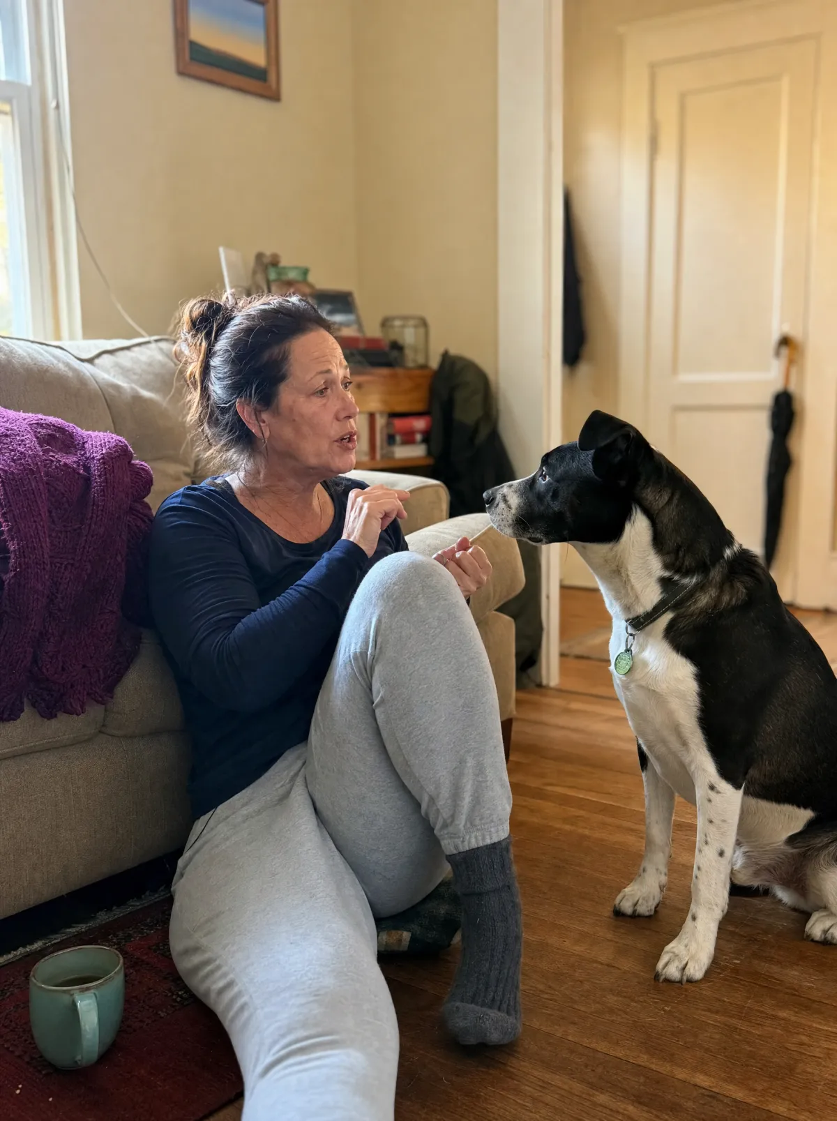 Why your dog barks at some people and not others