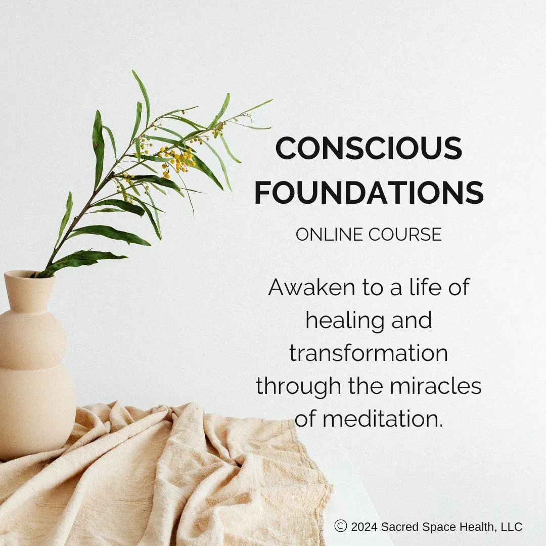 Image of a plant in a vase on a table with the words Conscious Foundations, online course.