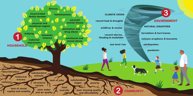 The 3 Realms of ACEs infographic: a tree for household ACEs, its roots for community ACEs, and a tornado for environmental ACEs