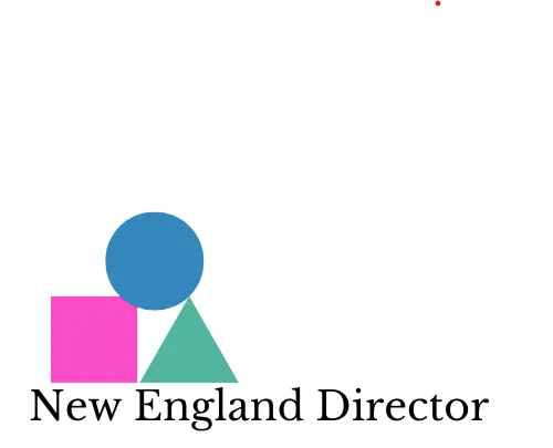 New England Director Logo