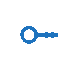 Blue line icon of a key, representing personal leadership mastery coaching.