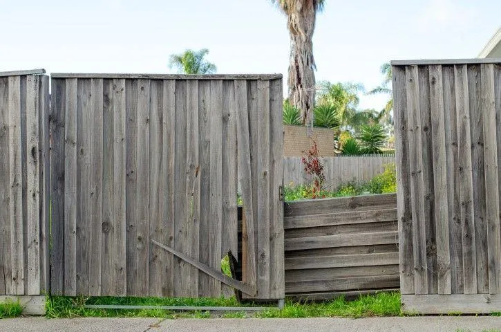 Sandusky Fencing Creations in Sandusky OH assessing a severely damaged wooden slat fence needing repair.