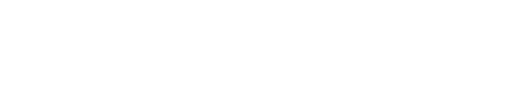 Rhino Digital Solutions