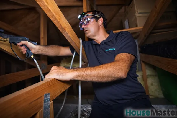 Termite Spray Treatment in Attic