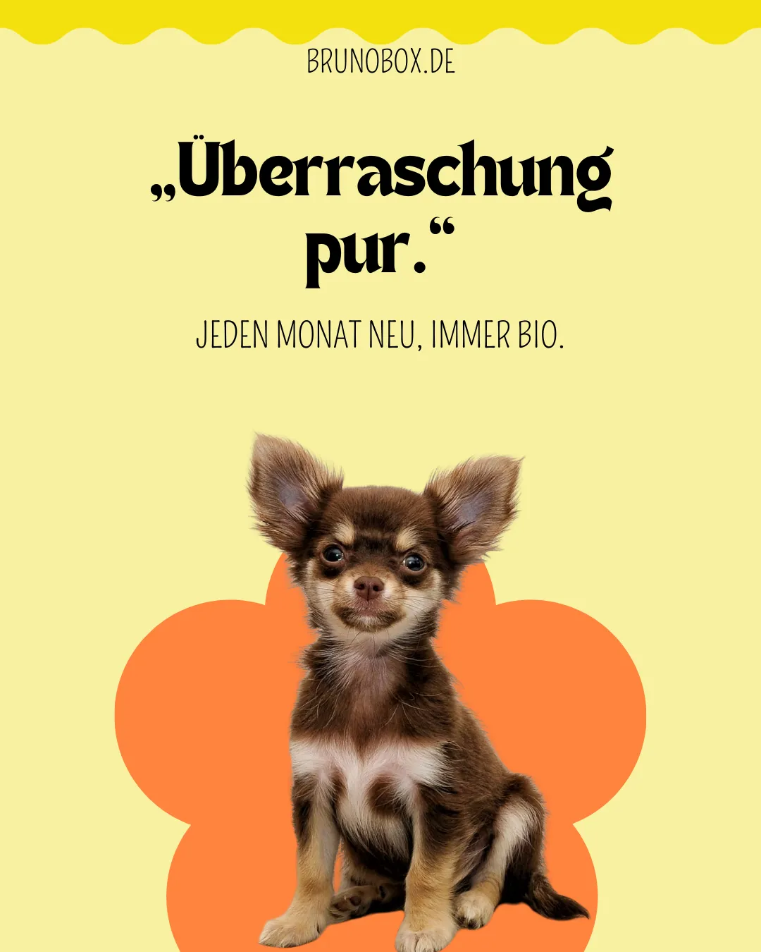 adult golden retriever walking on green grass lawn