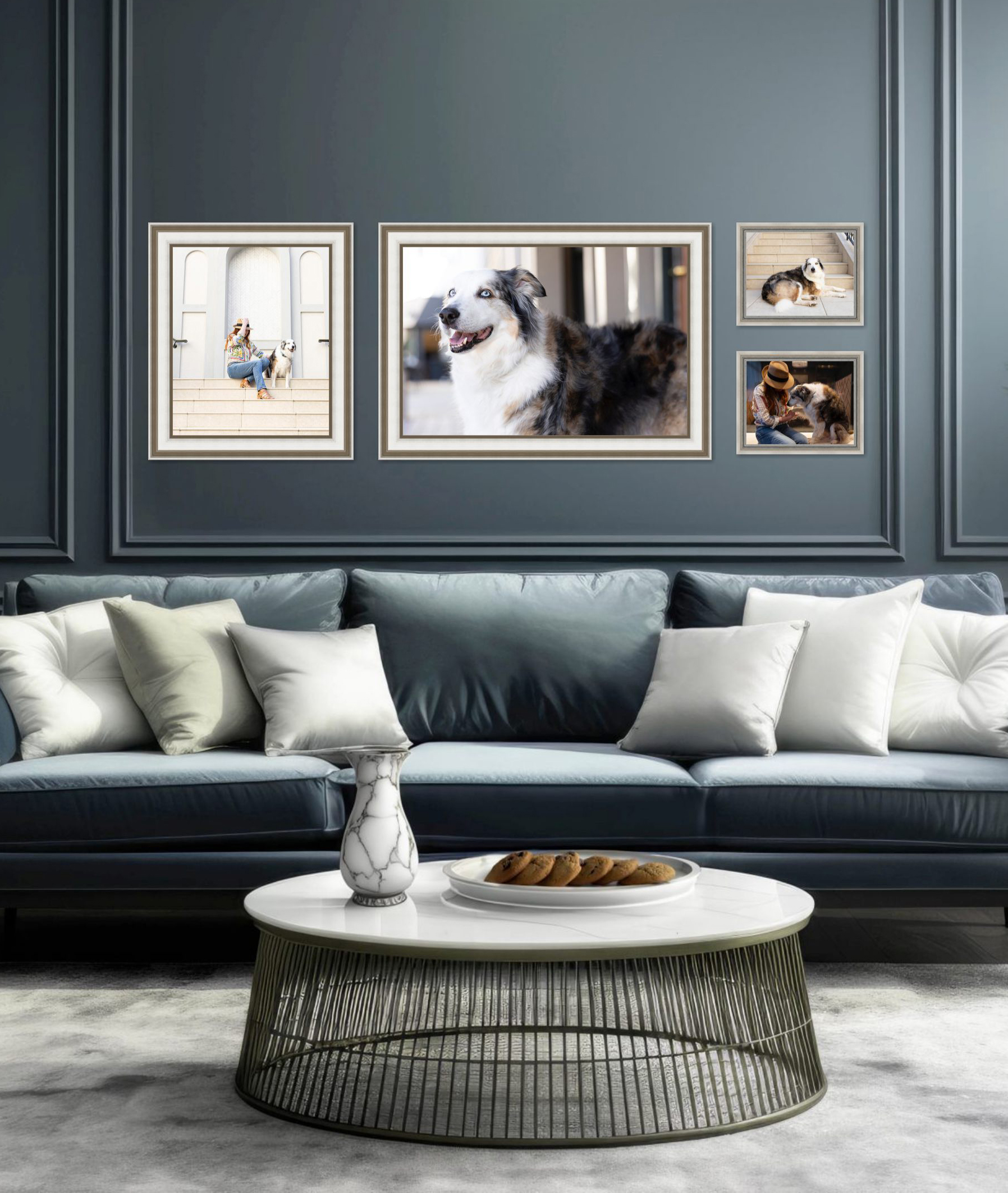 Framed pet portrait collection displayed above a sitting-room sofa.