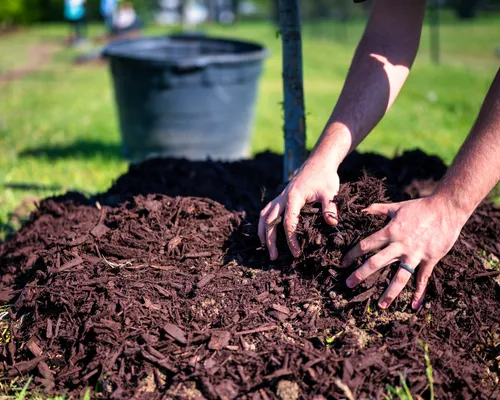 Mulching in Richmond