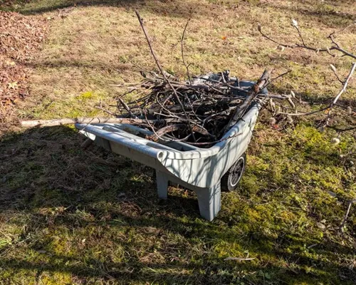 Leaf & debris cleanup in Richmond