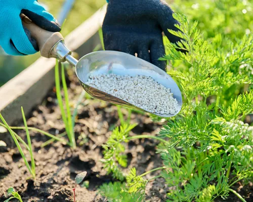 Fertilization in Richmond