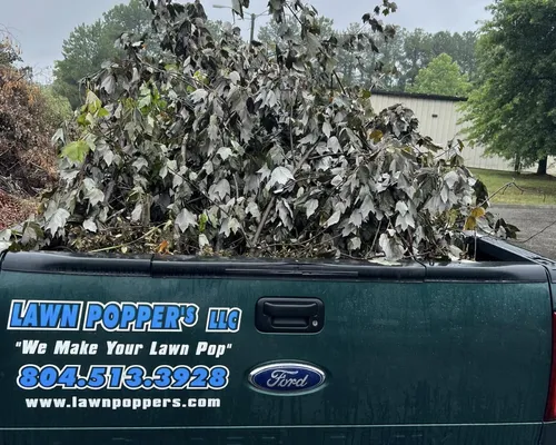 Leaf & debris cleanup 