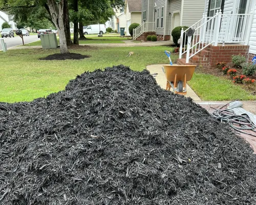Topsoil 